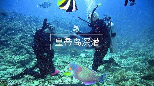 未知的岛屿