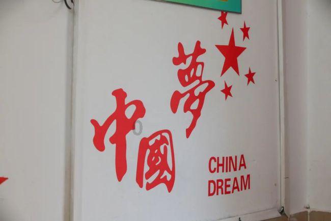 鸡磺胺类药物中毒的诊治